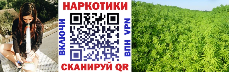 Купить наркотики сайты Кыштым Каннабис  Cocaine  А ПВП  Меф  ГАШ 