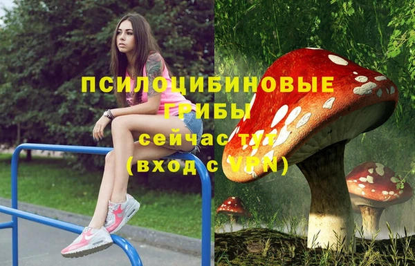 соль курить ск Армянск