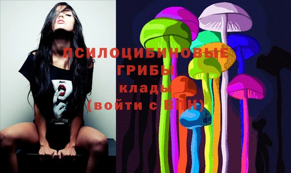 PSILOCYBIN Алексеевка