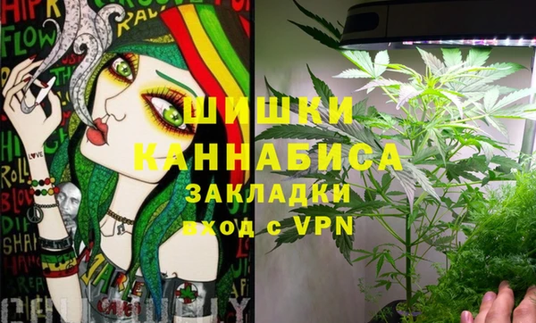 PSILOCYBIN Алексеевка