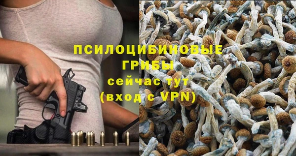 PSILOCYBIN Алексеевка